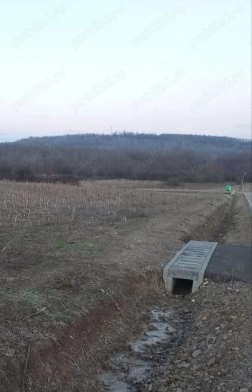 Teren de 800 mp, în Fârdea