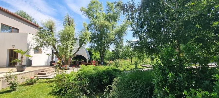 Casă cu 7 camere cu Teren 1500 Mp în Bolintin-Deal