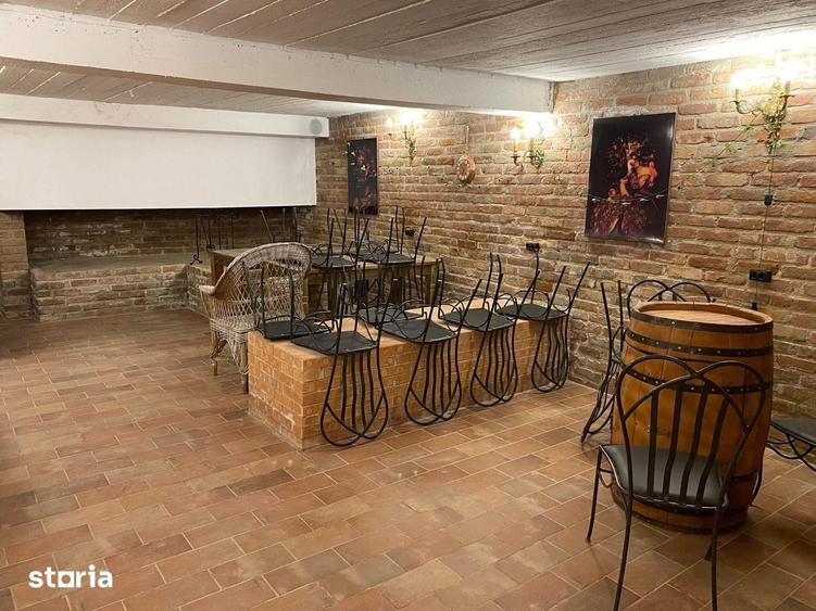 Casă cu 6 camere cu Piscina în Făget