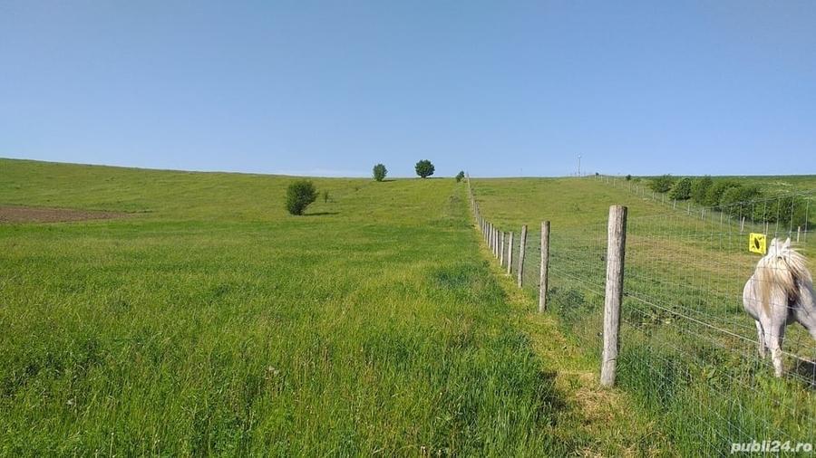 Teren de 18000 mp, în Feldioara