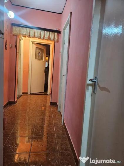 Apartament cu 3 camere decomandat în Valea Rosie