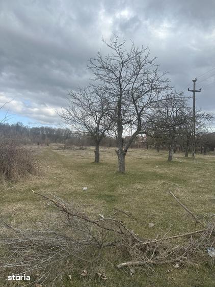 Teren de 4400 mp, în Voila