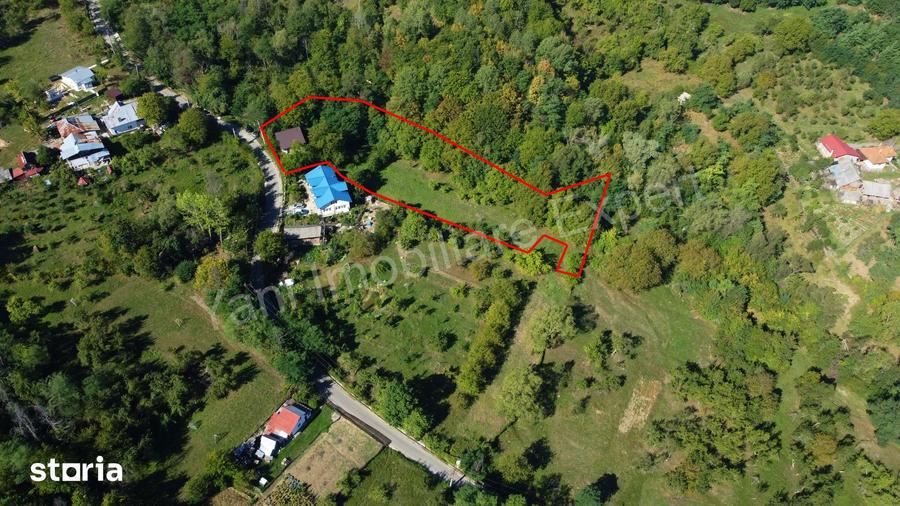 Casă cu 3 camere cu Teren 4391 Mp în Valea Danului