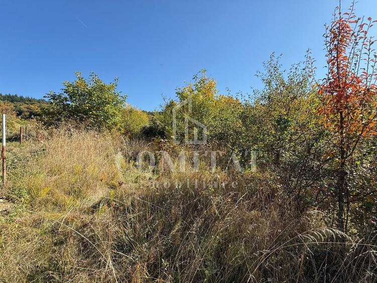 Teren Construcții intravilan de 1490 mp, în Făget