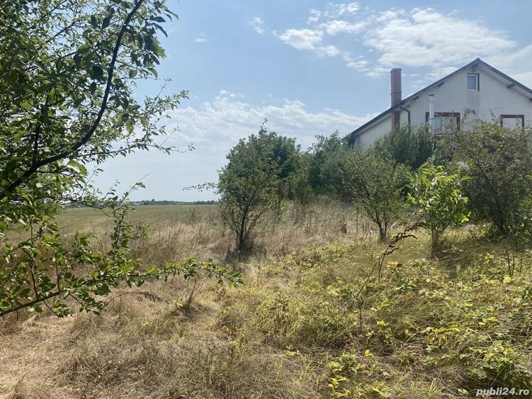 Teren de 12600 mp, în Frumușani