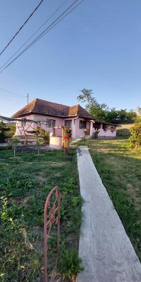 casa Visinelu Mures - 6