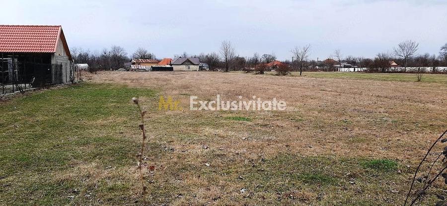 Teren de 4972 mp, în Polovragi