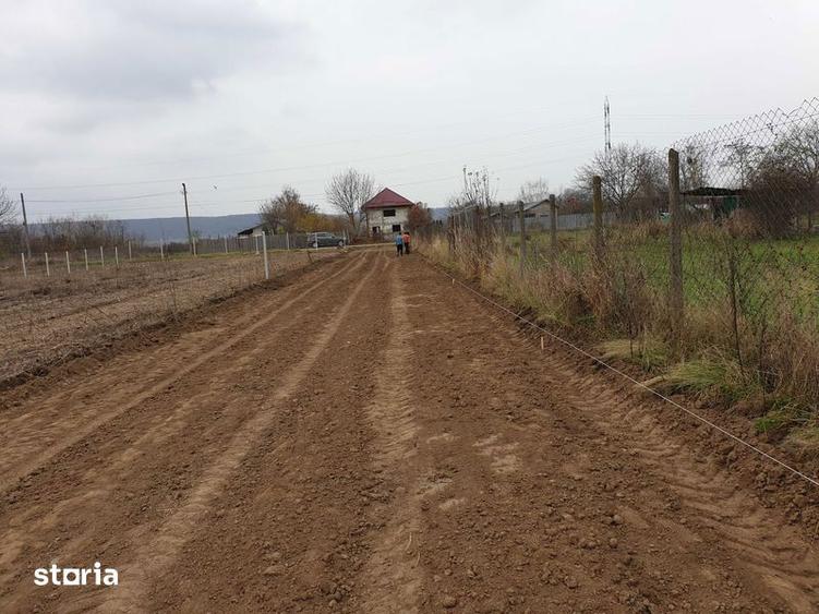 Teren intravilan 8071 mp (Lipanesti) - 7