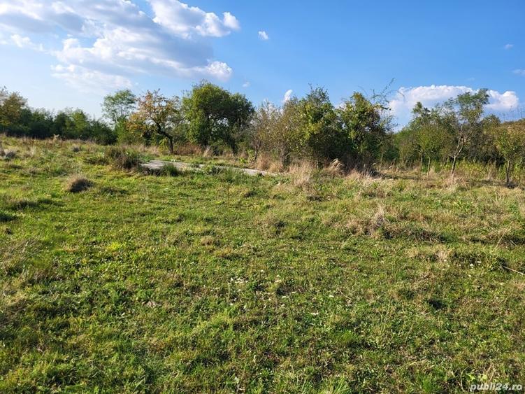 Casă cu 4 camere în Peștere