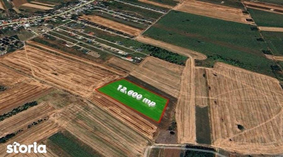 Teren de 12600 mp, în Săbăreni
