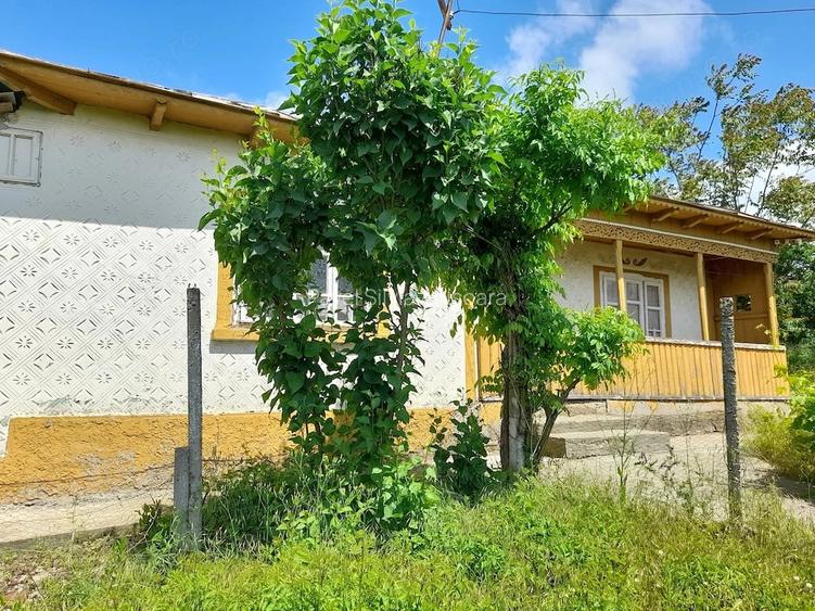 Casa cu teren de 1.470 mp de vanzare Fantanele, Scanteie?ti