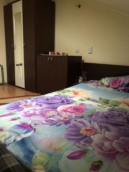 Apartament de inchiriat zona Nufarul 1500 lei - 5