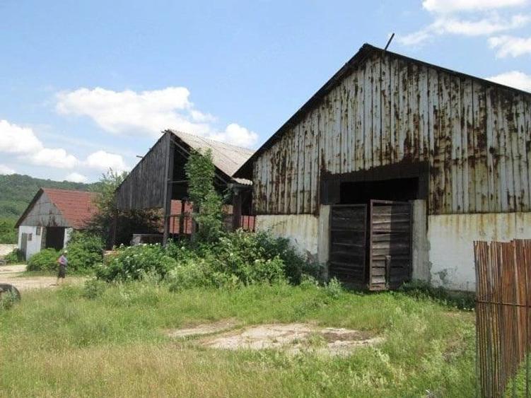 Teren în Șopotu Vechi