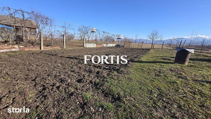 Casa cu priveliste spre munte 150 mp utili cu teren de 1000 mp - 2