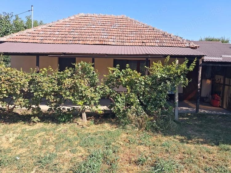 Casă cu Teren 1759 Mp în Central