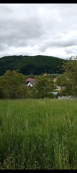 Teren de 1400 mp, în Central