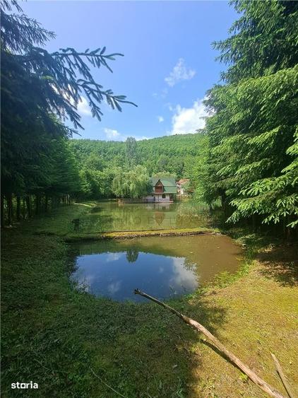 Casă cu 4 camere cu Teren 2455 Mp în Pădurea Neagră