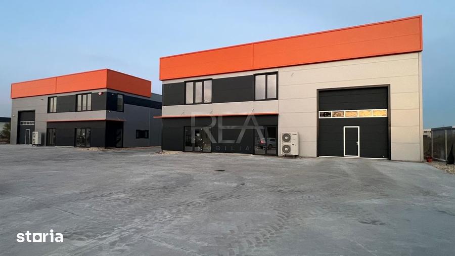 Hub Logistic Chiajna - Inchiriere Hala 482 mp - 3
