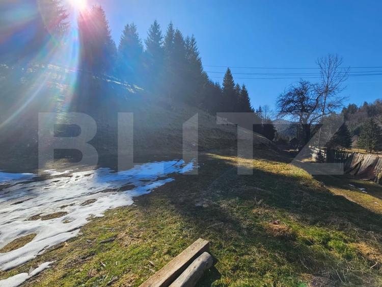 Teren Construcții intravilan de 2977 mp, în Scărișoara
