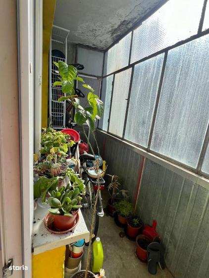 Acasa nu doar un apartament: 3 camere renovat - Zona Sagului - 16