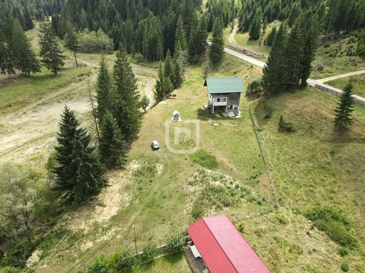 Teren Construcții intravilan de 4742 mp, în Voroneț