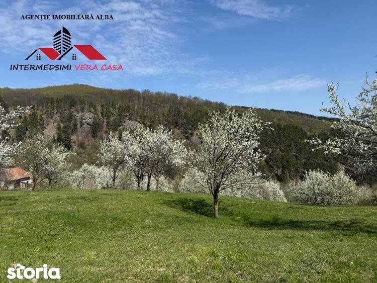 Teren de 13698 mp, în Vințu de Jos