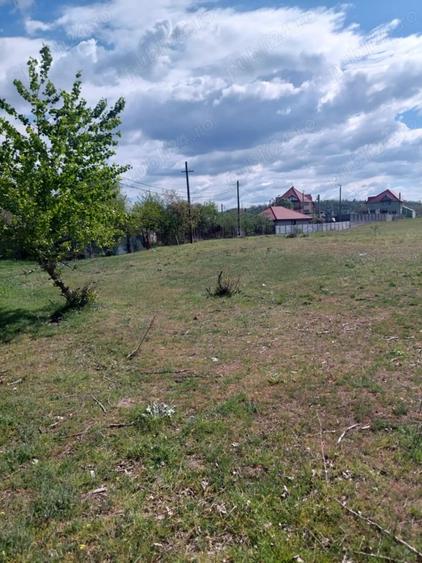 Teren de 2540 mp, în Șimian