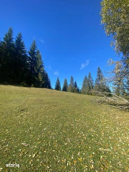 Teren extravilan la Poiana Horea - Belis - 16.000 mp - 1