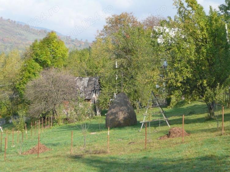 Teren de 1000 mp, în Teșila