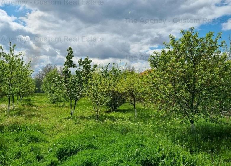 Casă individuală cu 5 camere decomandat cu Canalizare în Corbeanca