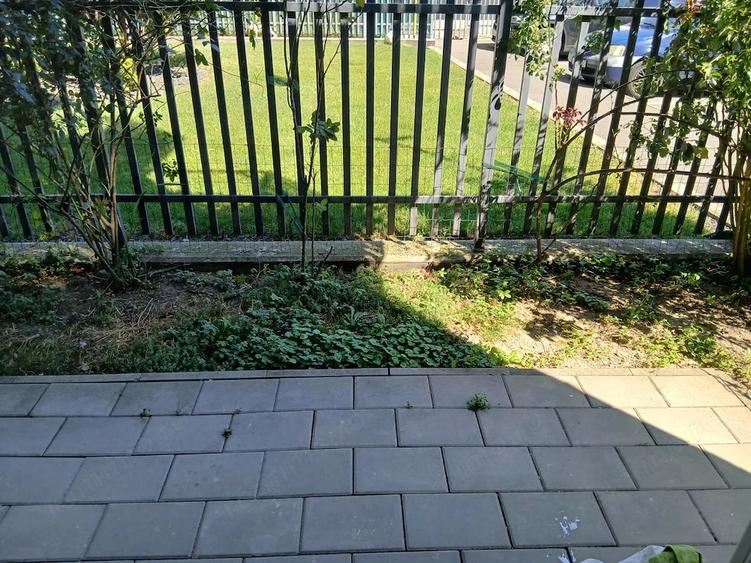Apartament cu 1 camera de inchiriat in Complexul Studen?esc - gradina proprie - 3
