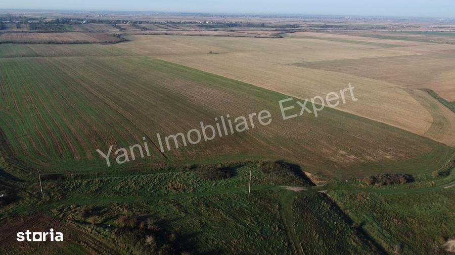 Teren de 10000 mp, în Căteasca