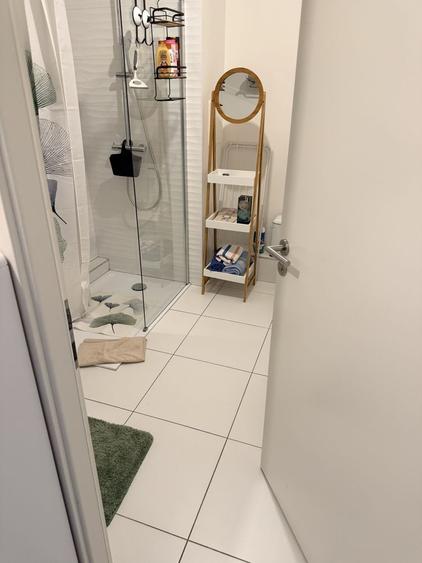 Inchiriez apartament mobilat in Strasbourg la doua studente - 6
