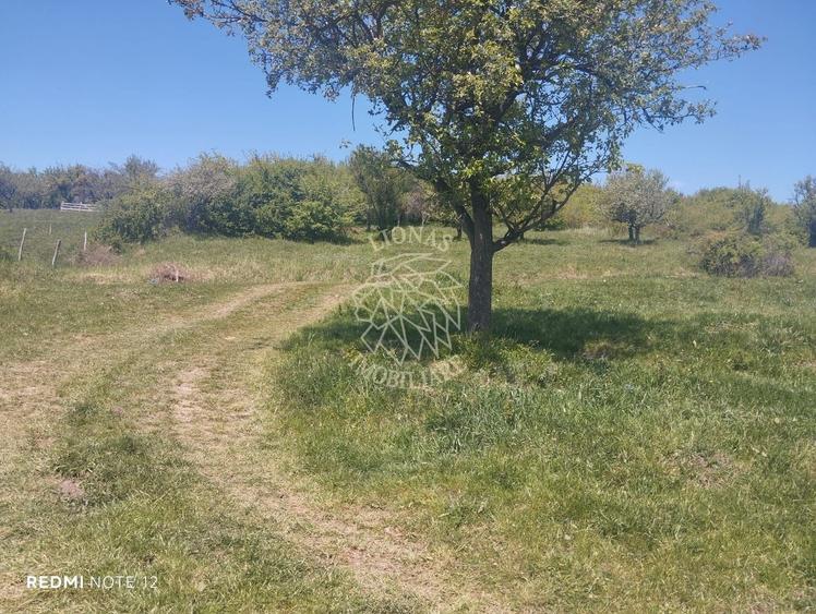 Teren agricol extravilan de 4400 mp, în Cetății