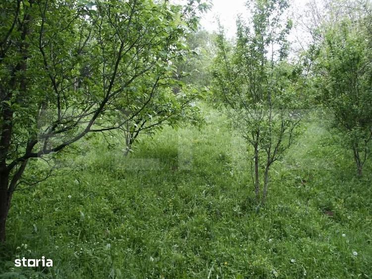 Teren de 884 mp, în Runcu