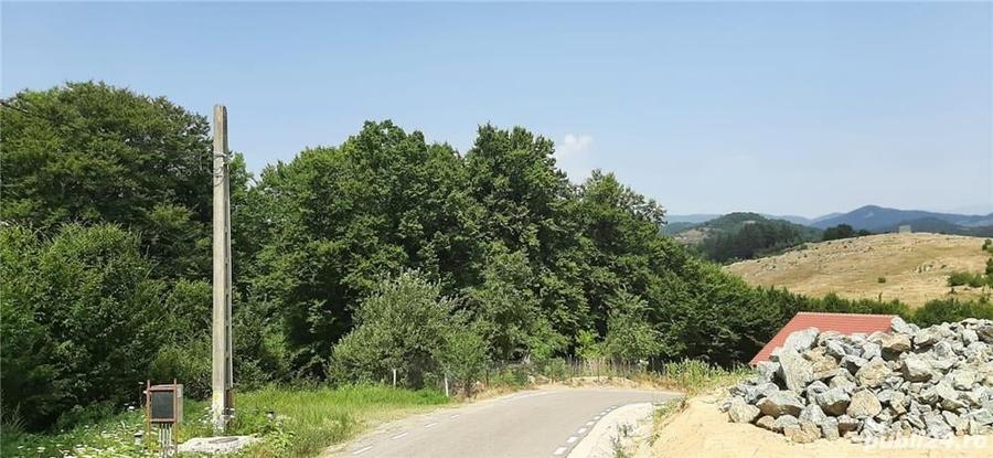 Vand 15500 mp. padure - 5