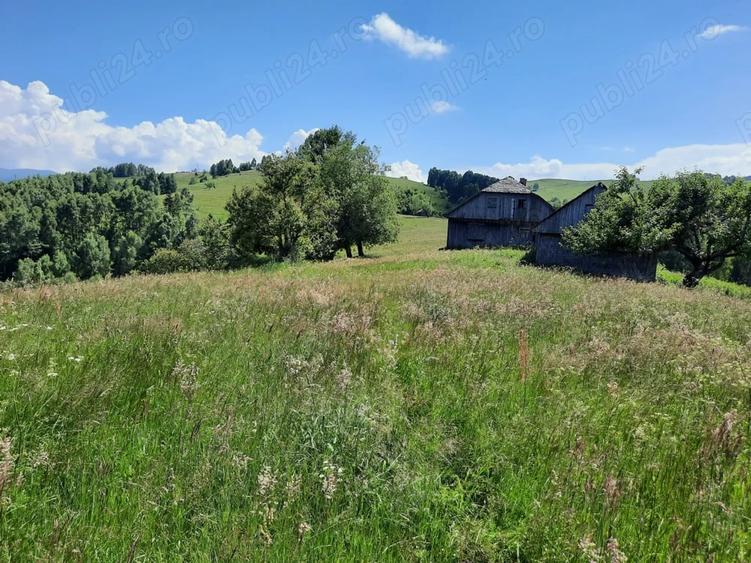 Teren de 40000 mp, în Șirnea