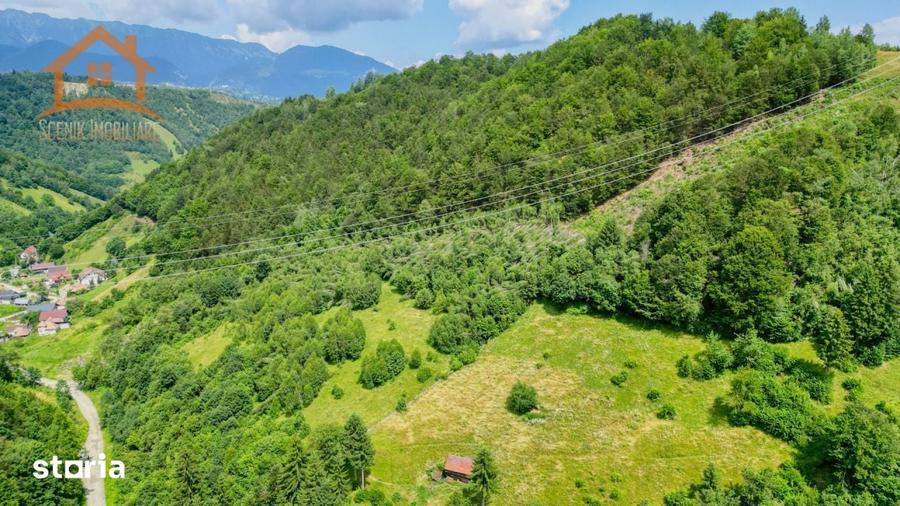 Investitie Smart in Moieciu, 3.1 ha, Panorama 360 Bucegi - Piatra Crai - 10