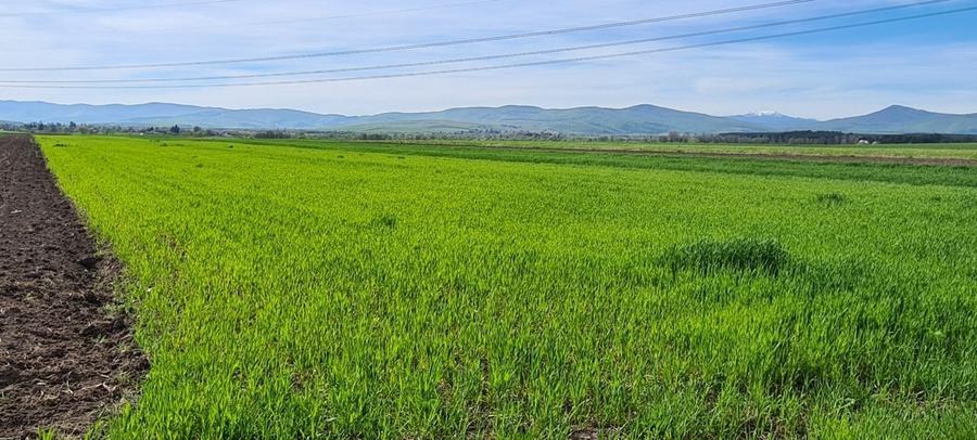 Teren agricol extravilan de 8500 mp, în Reci