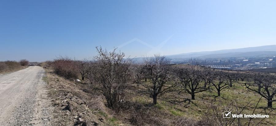 Teren Construcții intravilan de 8900 mp, în Iris