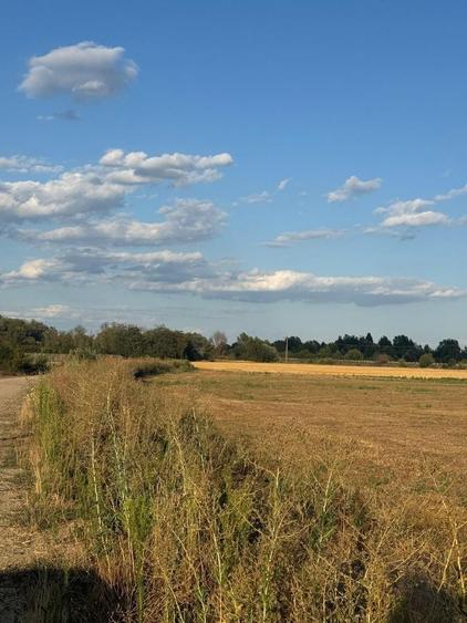 Teren agricol intravilan de 520 mp, în Fughiu