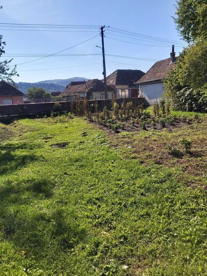 Casă cu 3 camere în Trei Sate