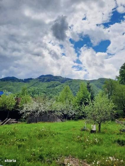Teren intravilan 800 mp Darste Brasov - 2