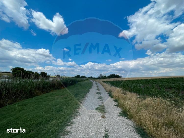 Teren de 4350 mp, în Vasilați