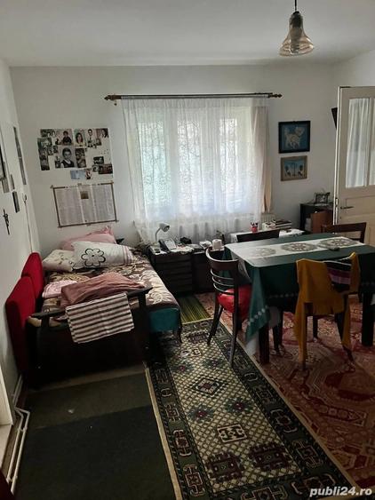 Vand casa din caramida - 2