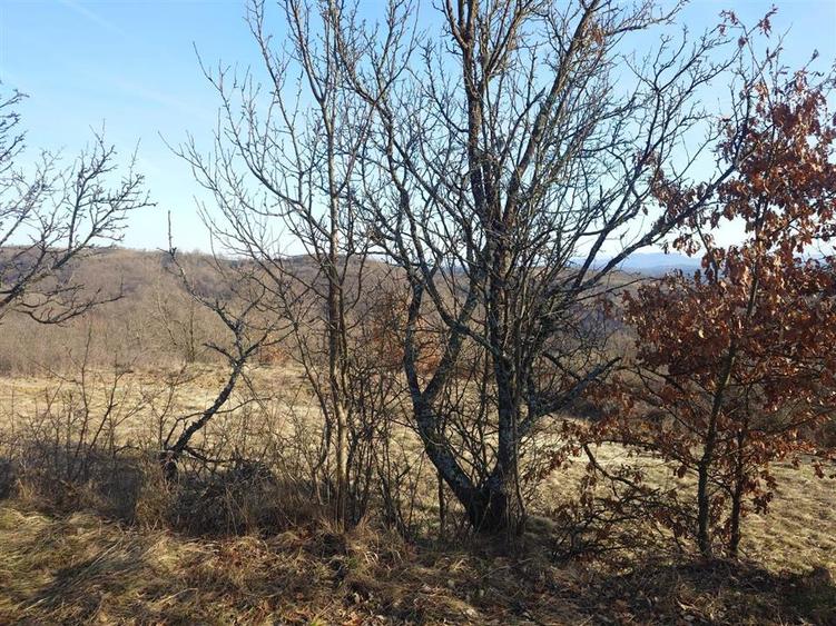 Teren extravilan de 2599 mp, în Vălișoara