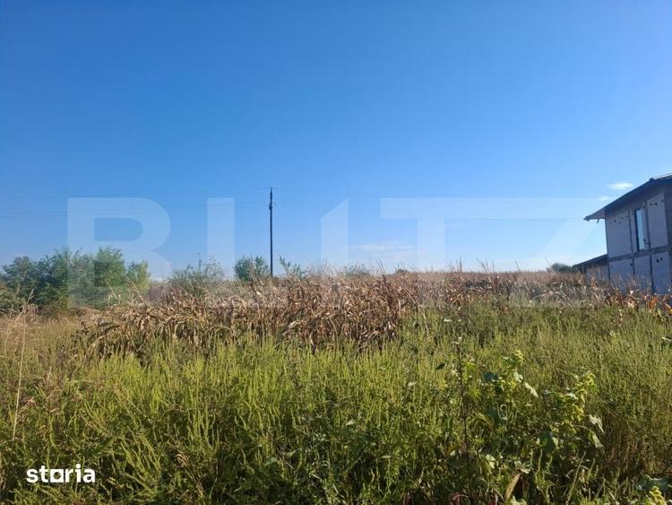 Teren de 5000 mp, în Văcărești