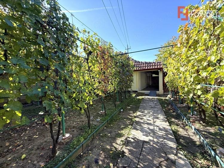 Casă cu 4 camere cu Teren 430 Mp în Plopi