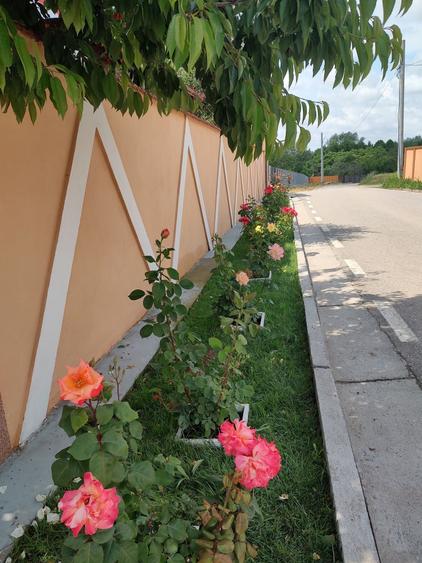 Casă cu 4 camere cu Teren 362 Mp în Malu Mare