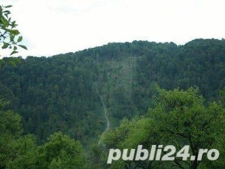 Teren de 5062 mp, în Voineasa